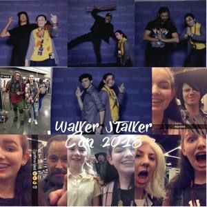 Meet your Posher, Bailey